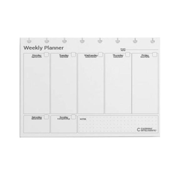 Recambio cuaderno inteligente weekly planner my frame din a5 120 gr - CIRA2025