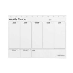 Recambio cuaderno inteligente weekly planner my frame grande 120 gr - CIRG4029