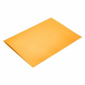 Subcarpeta liderpapel folio naranja intenso 180g/m2