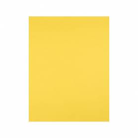 Cartulina liderpapel 50x65 cm 180g/m2 amarillo limon
