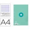 Recambio liderpapel a4 antartik 80 hojas 90g/m2 cuadro 5 mm 4 taladros 1 banda marco color menta