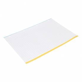 Recambio liderpapel a4 100 hojas 100g/m2 rayado horizontal 4 taladros bandas de 5 colores antartik