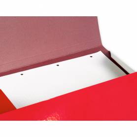 Carpeta liderpapel gomas folio 3 solapas carton plastificado colores surtidos