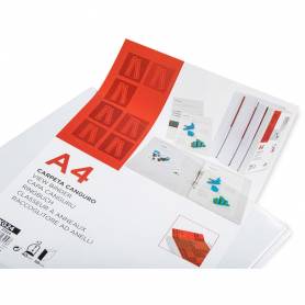 Carpeta canguro 2 anillas mixtas 40mm liderpapel a4 plastico blanca