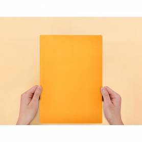 Subcarpeta liderpapel folio naranja intenso 180g/m2