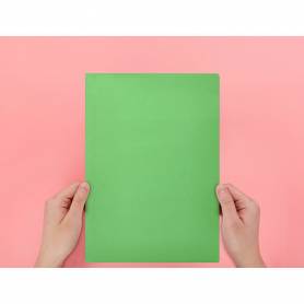 Subcarpeta liderpapel folio verde intenso 180g/m2