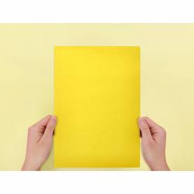 Subcarpeta liderpapel folio amarillo intenso 180g/m2