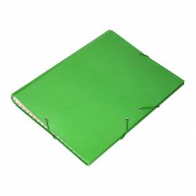 Carpeta clasificadora liderpapel 12 departamentos folio prolongado carton forrado verde claro