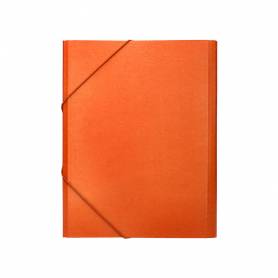 Carpeta clasificadora liderpapel 12 departamentos folio prolongado carton forrado naranja