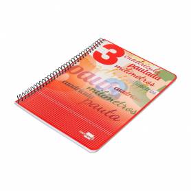 Cuaderno espiral liderpapel cuarto pautaguia tapa blanda 40h 75 gr cuadro pautado 3 mm con margen colores surtidos