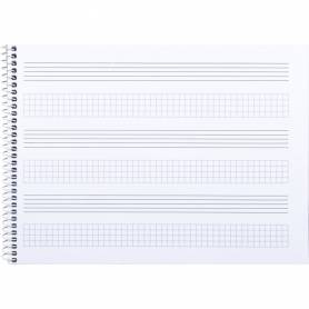 Bloc musica liderpapel combi pentagrama 3mm mas cuadricula de 4mm para anotaciones cuarto20 hojas 100g/m2