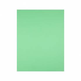 Cartulina liderpapel 50x65 cm 180g/m2 verde hierba paquete de 25 hojas