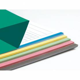 Recambio liderpapel a4 100 hojas 100g/m2 cuadro 5mm 4 taladros bandas de 5 colores