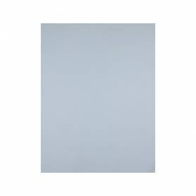 Cartulina liderpapel 50x65 cm 180 gr gris unidad