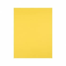 Cartulina liderpapel 50x65 cm 240g/m2 amarillo limon paquete de 25 hojas