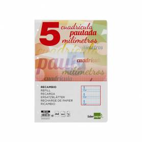 Recambio liderpapel a4 pautaguia 100 hojas 75 g cuadriculado pautado 5 mm con margen 4 taladros