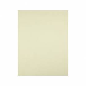 Cartulina liderpapel 50x65 cm 240g/m2 amarillo