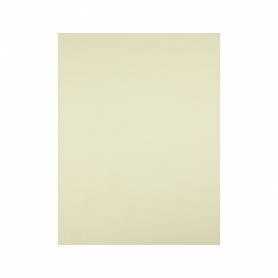 Cartulina liderpapel 50x65 cm 180g/m2 amarillo