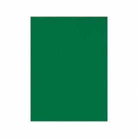 Fieltro liderpapel 50x70cm verde 160g/m2