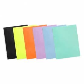 Carpeta liderpapel escaparate 10 fundas polipropileno din a4 naranja fluor opaco