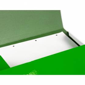 Carpeta liderpapel gomas folio 3 solapas carton plastificado color verde