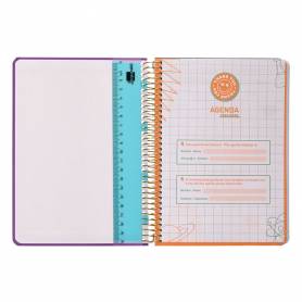 Agenda escolar liderpapel año 24 - 25 curso classic lines morado día página a6