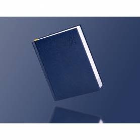 Agenda encuadernada liderpapel corfu a5 2025 día página azul papel 60 gr - 