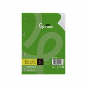 Recambio liderpapel din a5 100 hojas 75 gr cuadro 6mm con margen 6 taladros - RC07